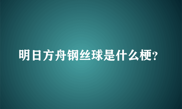 明日方舟钢丝球是什么梗？