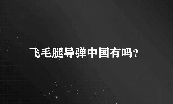 飞毛腿导弹中国有吗？