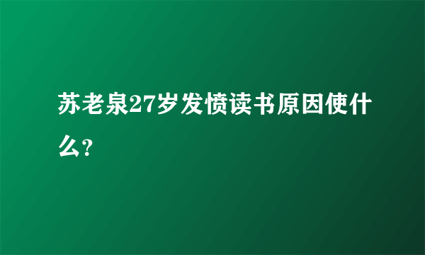 苏老泉27岁发愤读书原因使什么？