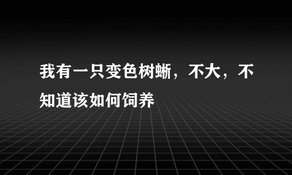 我有一只变色树蜥，不大，不知道该如何饲养