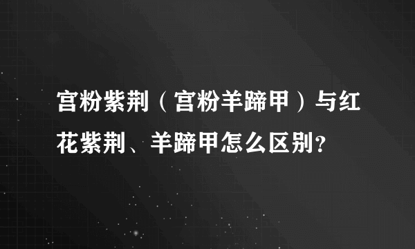 宫粉紫荆（宫粉羊蹄甲）与红花紫荆、羊蹄甲怎么区别？