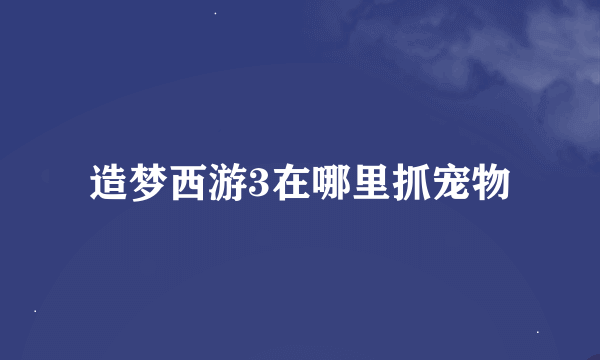 造梦西游3在哪里抓宠物