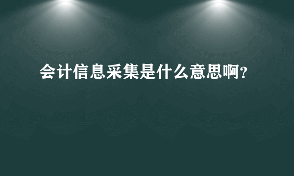 会计信息采集是什么意思啊？