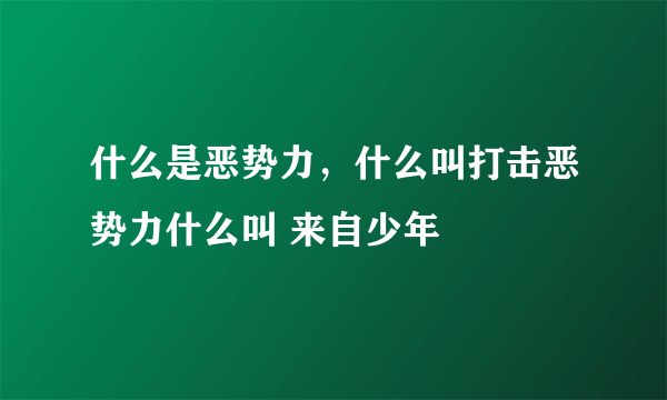 什么是恶势力，什么叫打击恶势力什么叫 来自少年