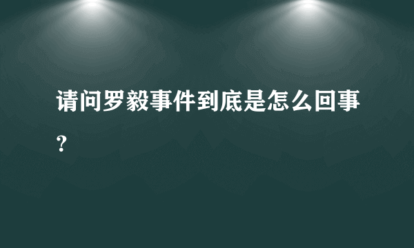 请问罗毅事件到底是怎么回事？