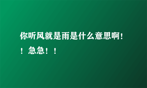 你听风就是雨是什么意思啊！！急急！！