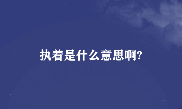 执着是什么意思啊?