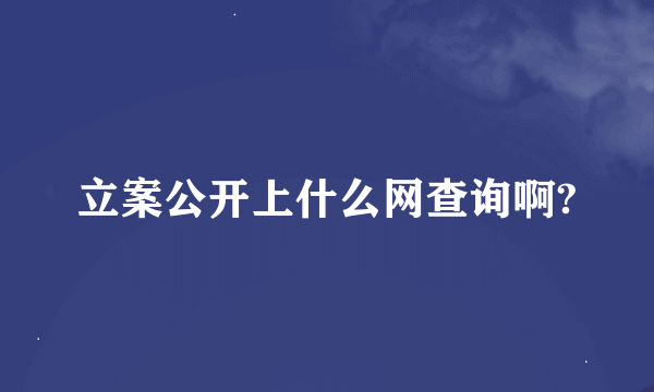 立案公开上什么网查询啊?