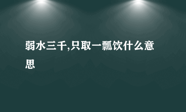 弱水三千,只取一瓢饮什么意思