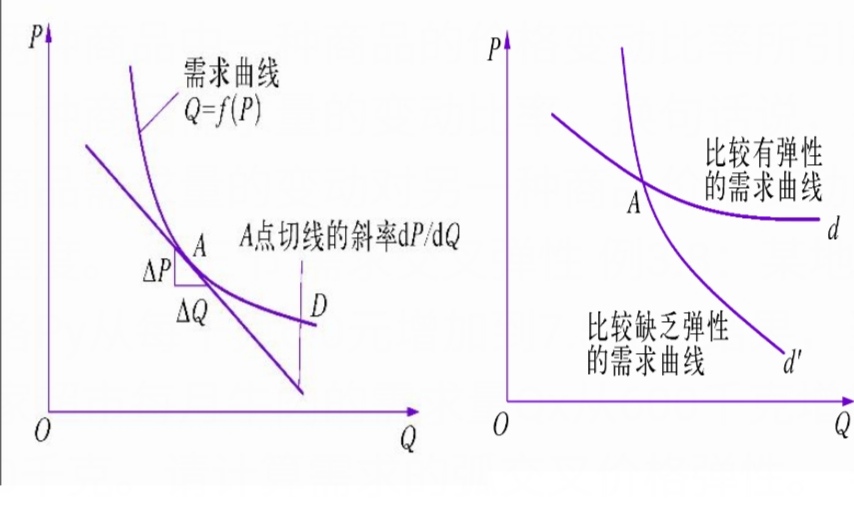 大学经济学问题，请问需求弹性大小怎么判断？