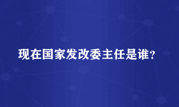 现在国家发改委主任是谁？