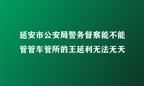 延安市公安局警务督察能不能管管车管所的王延利无法无天