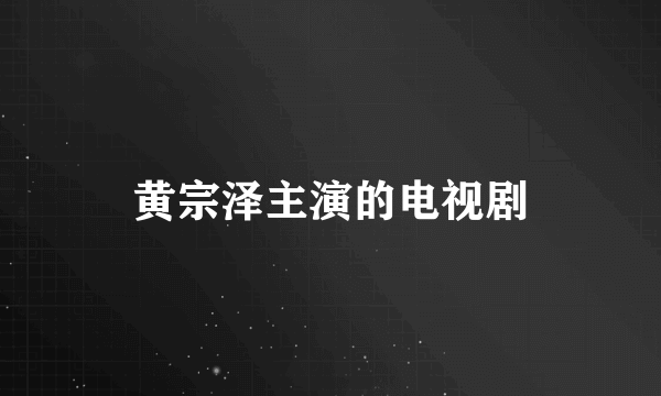 黄宗泽主演的电视剧