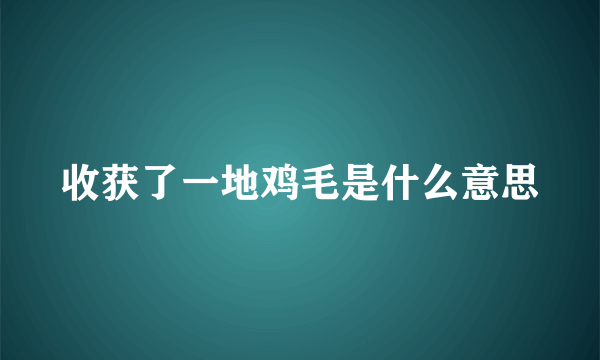 收获了一地鸡毛是什么意思