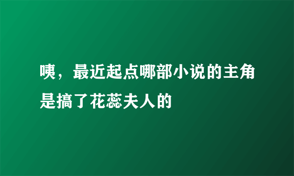 咦，最近起点哪部小说的主角是搞了花蕊夫人的