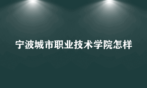 宁波城市职业技术学院怎样