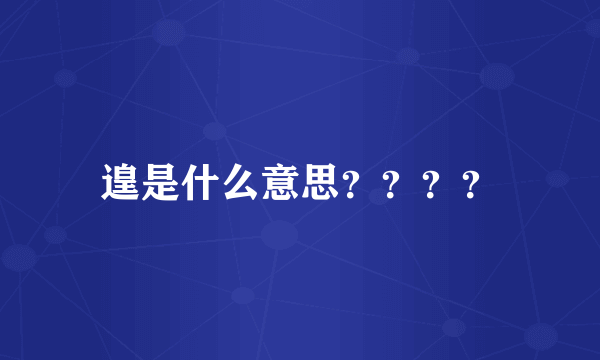 遑是什么意思？？？？