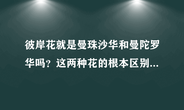 彼岸花就是曼珠沙华和曼陀罗华吗？这两种花的根本区别是什么？