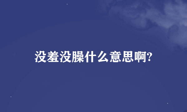 没羞没臊什么意思啊?