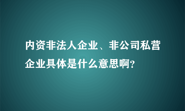 内资非法人企业、非公司私营企业具体是什么意思啊？