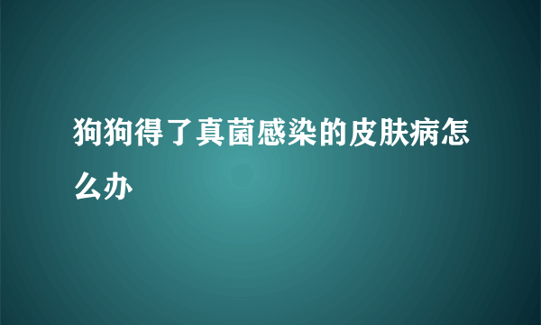 狗狗得了真菌感染的皮肤病怎么办