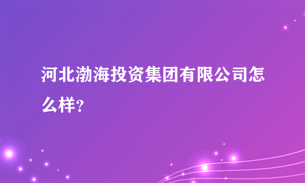 河北渤海投资集团有限公司怎么样？