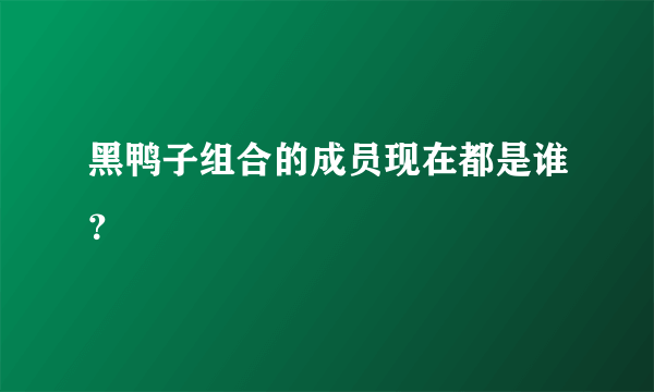 黑鸭子组合的成员现在都是谁？