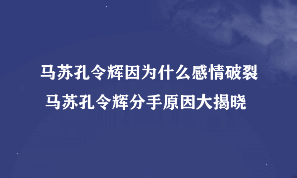 马苏孔令辉因为什么感情破裂 马苏孔令辉分手原因大揭晓