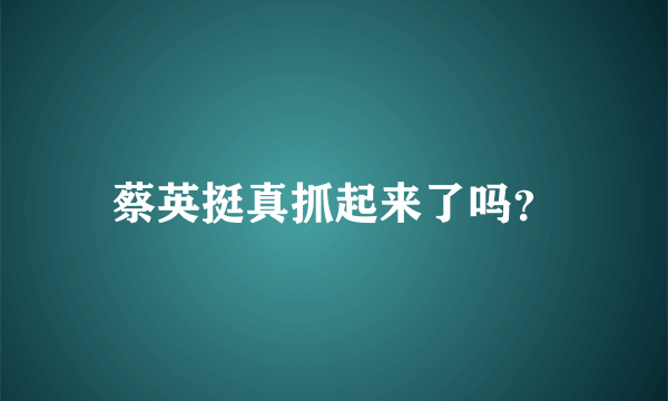 蔡英挺真抓起来了吗？