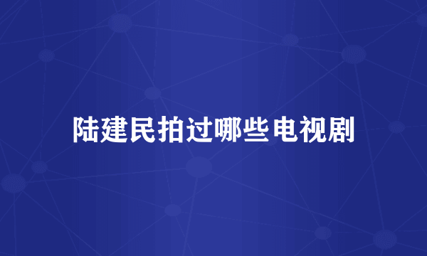 陆建民拍过哪些电视剧