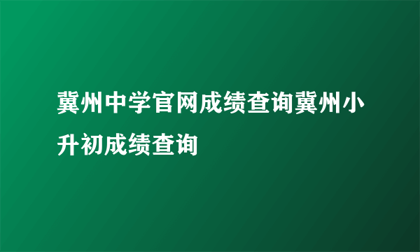 冀州中学官网成绩查询冀州小升初成绩查询