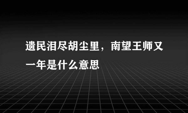 遗民泪尽胡尘里，南望王师又一年是什么意思