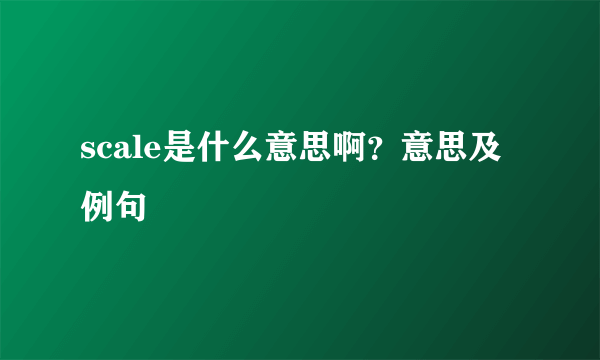 scale是什么意思啊？意思及例句