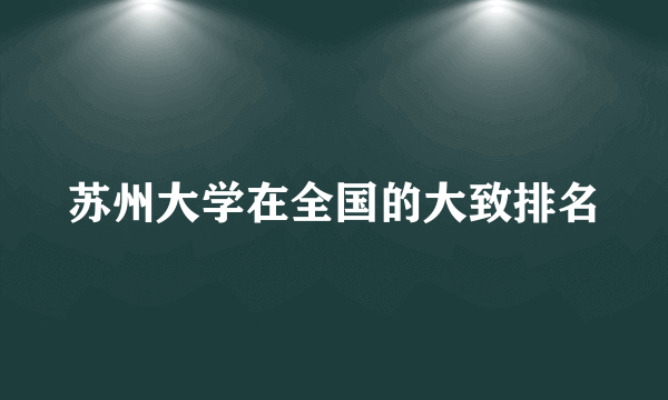 苏州大学在全国的大致排名