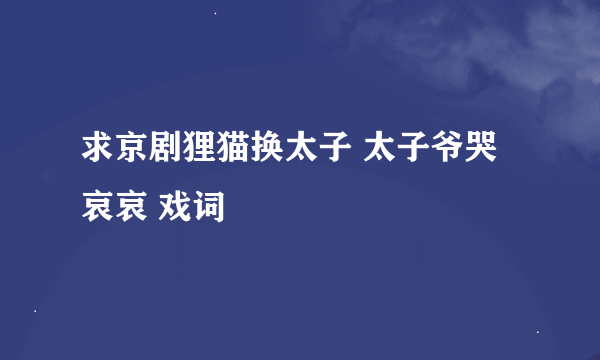 求京剧狸猫换太子 太子爷哭哀哀 戏词