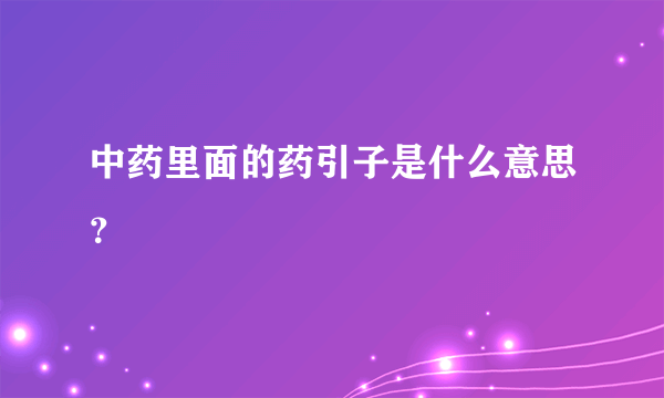 中药里面的药引子是什么意思？