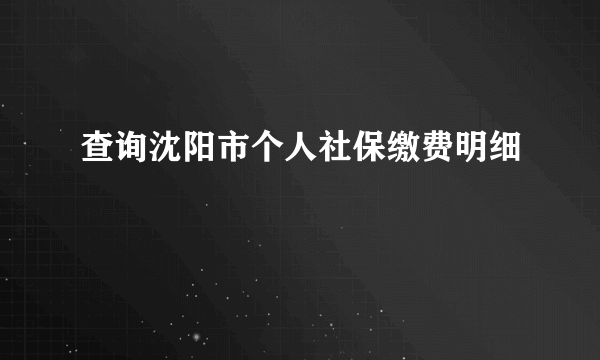 查询沈阳市个人社保缴费明细