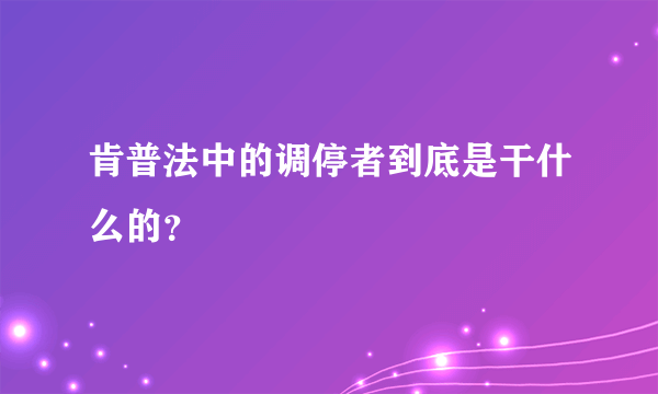 肯普法中的调停者到底是干什么的？