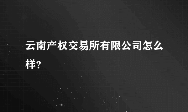 云南产权交易所有限公司怎么样？