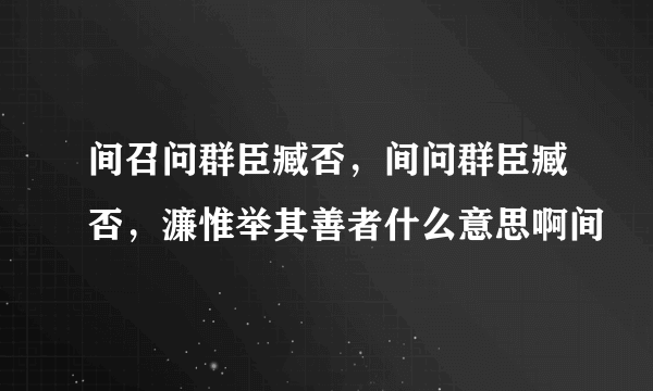 间召问群臣臧否，间问群臣臧否，濂惟举其善者什么意思啊间