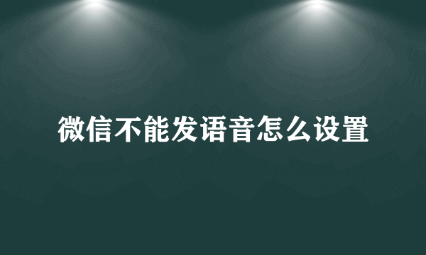 微信不能发语音怎么设置