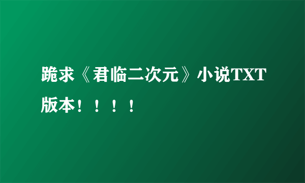 跪求《君临二次元》小说TXT版本！！！！