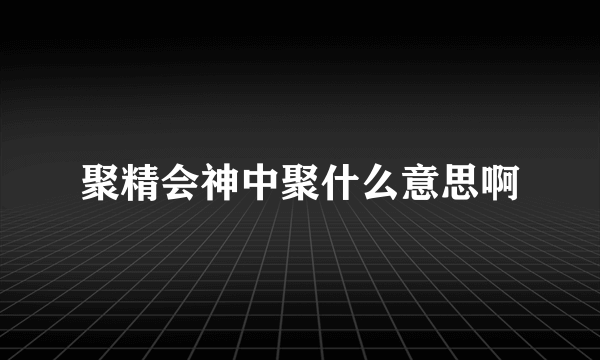 聚精会神中聚什么意思啊