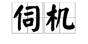 “伺机”是什么意思？