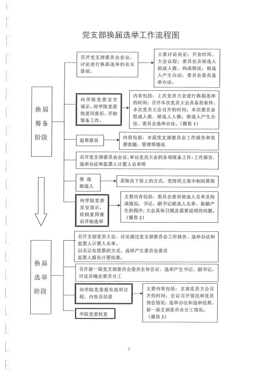 党支部换届选举工作流程图