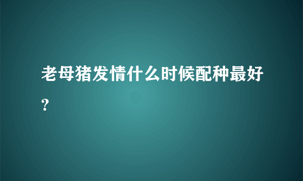 老母猪发情什么时候配种最好？