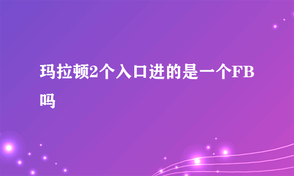 玛拉顿2个入口进的是一个FB吗