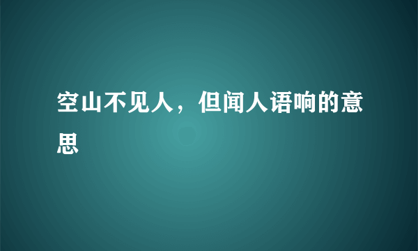 空山不见人，但闻人语响的意思