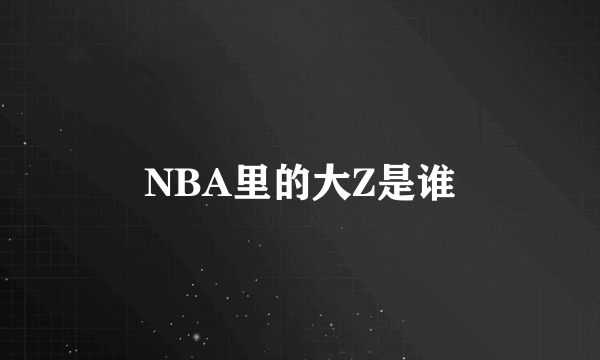 NBA里的大Z是谁