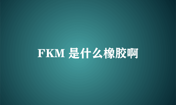 FKM 是什么橡胶啊